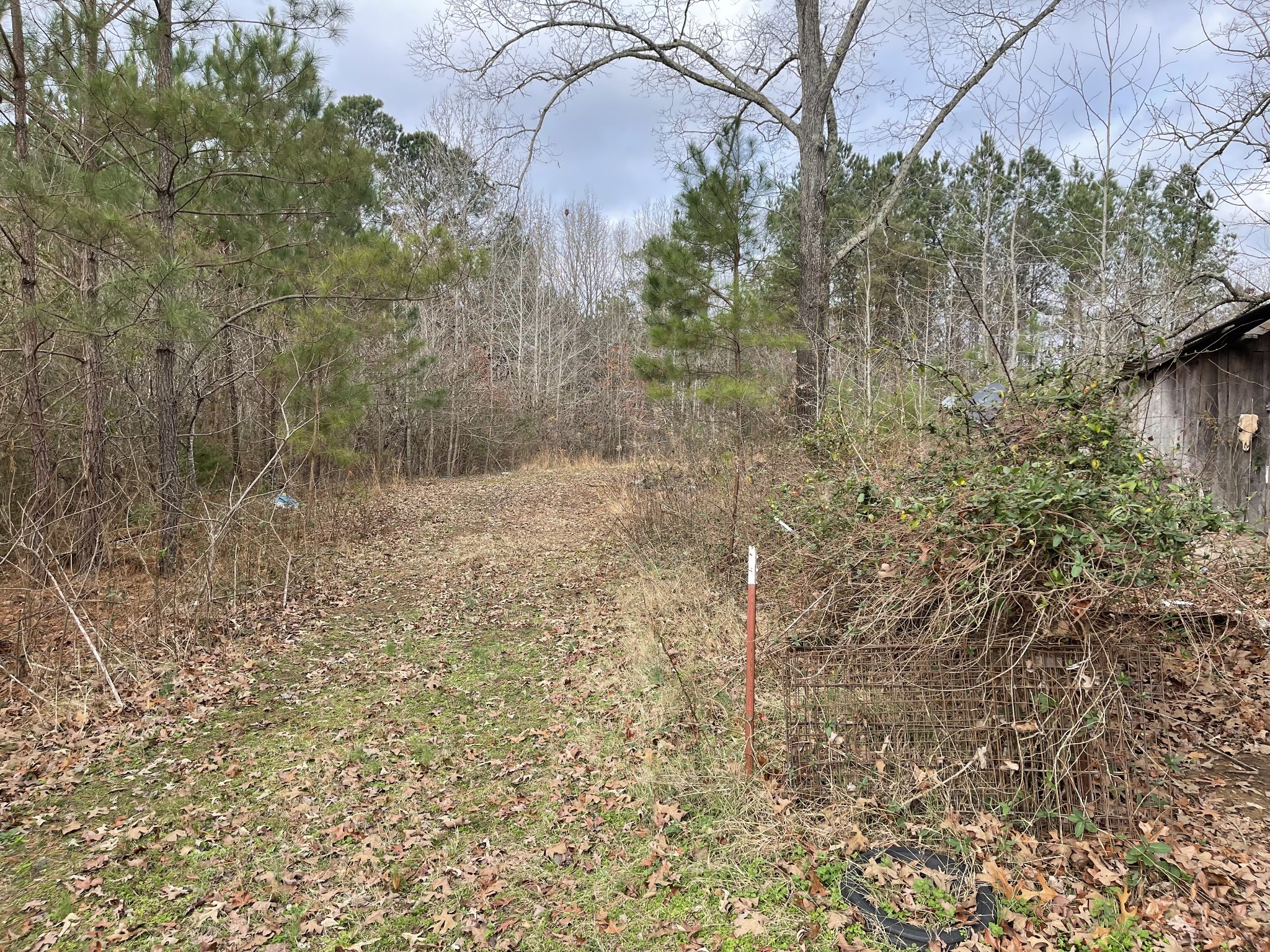 659 Dickey Road Ramer, TN 38367 - Photo 11 of 27 Gallery Image 11