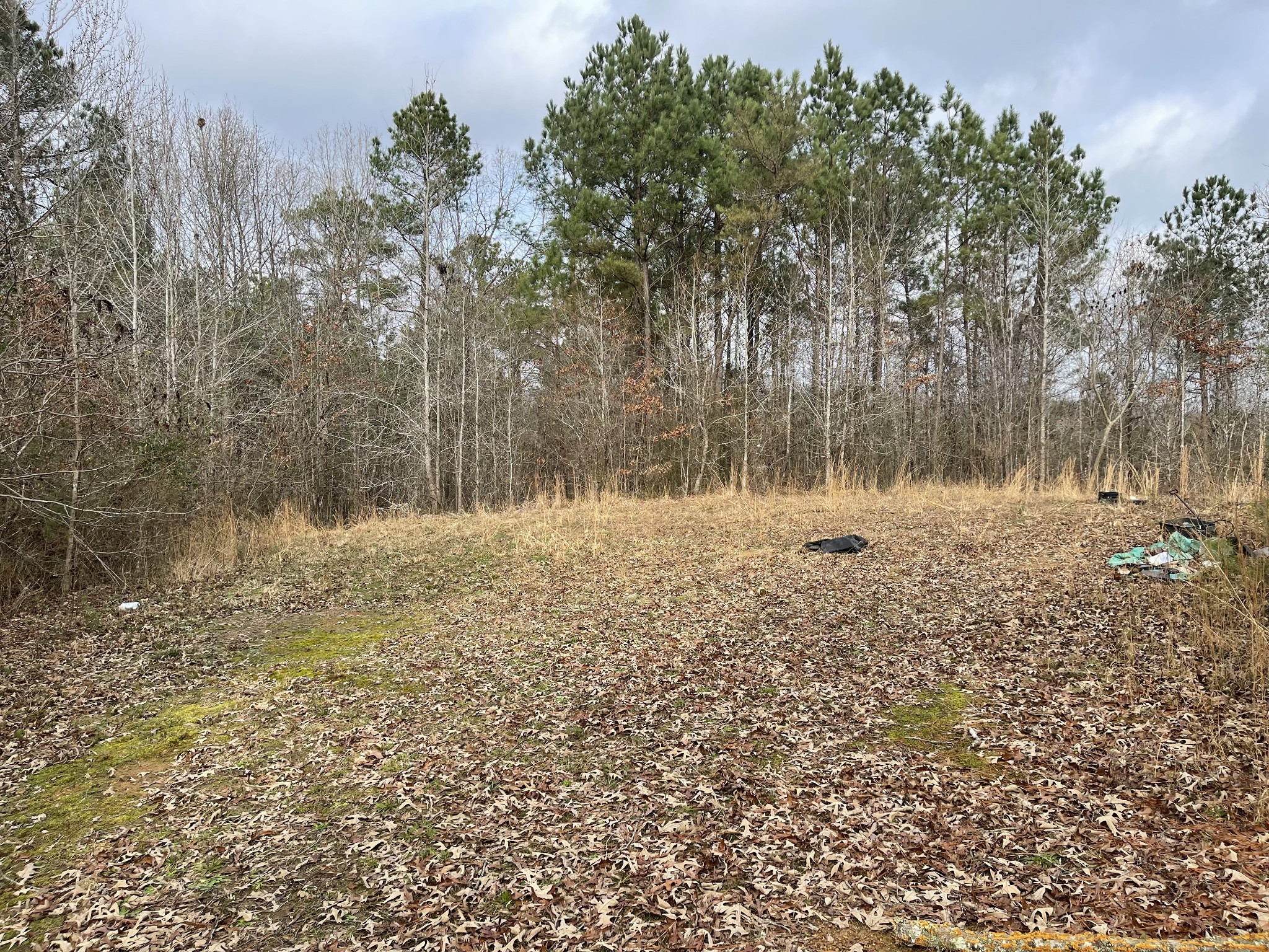 659 Dickey Road Ramer, TN 38367 - Photo 12 of 27 Gallery Image 12