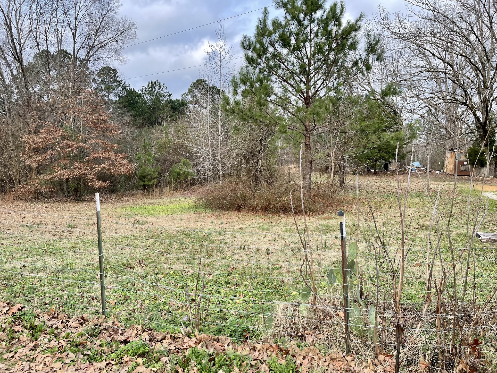 659 Dickey Road Ramer, TN 38367 - Photo 23 of 27 Gallery Image 23