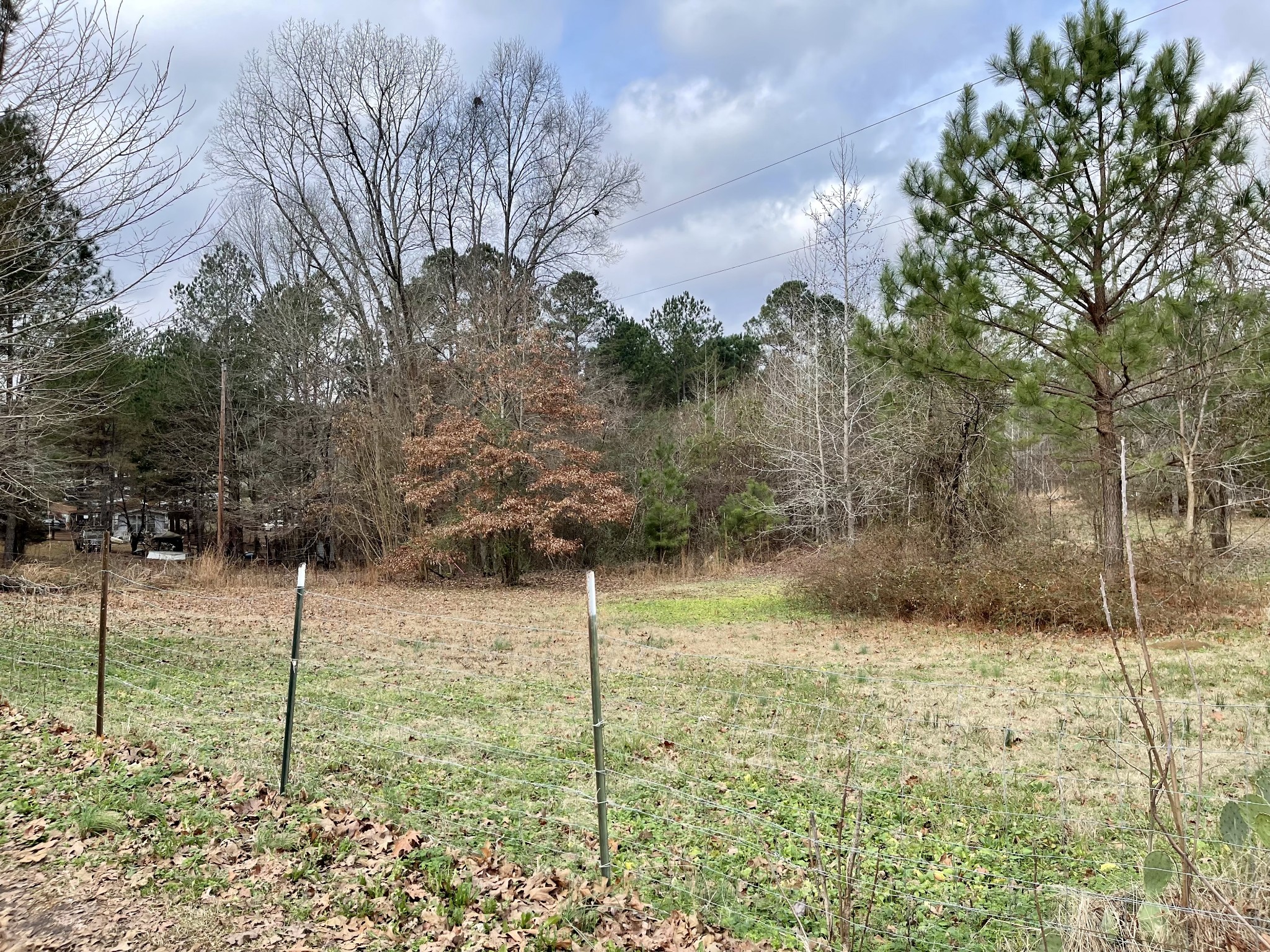 659 Dickey Road Ramer, TN 38367 - Photo 24 of 27 Gallery Image 24