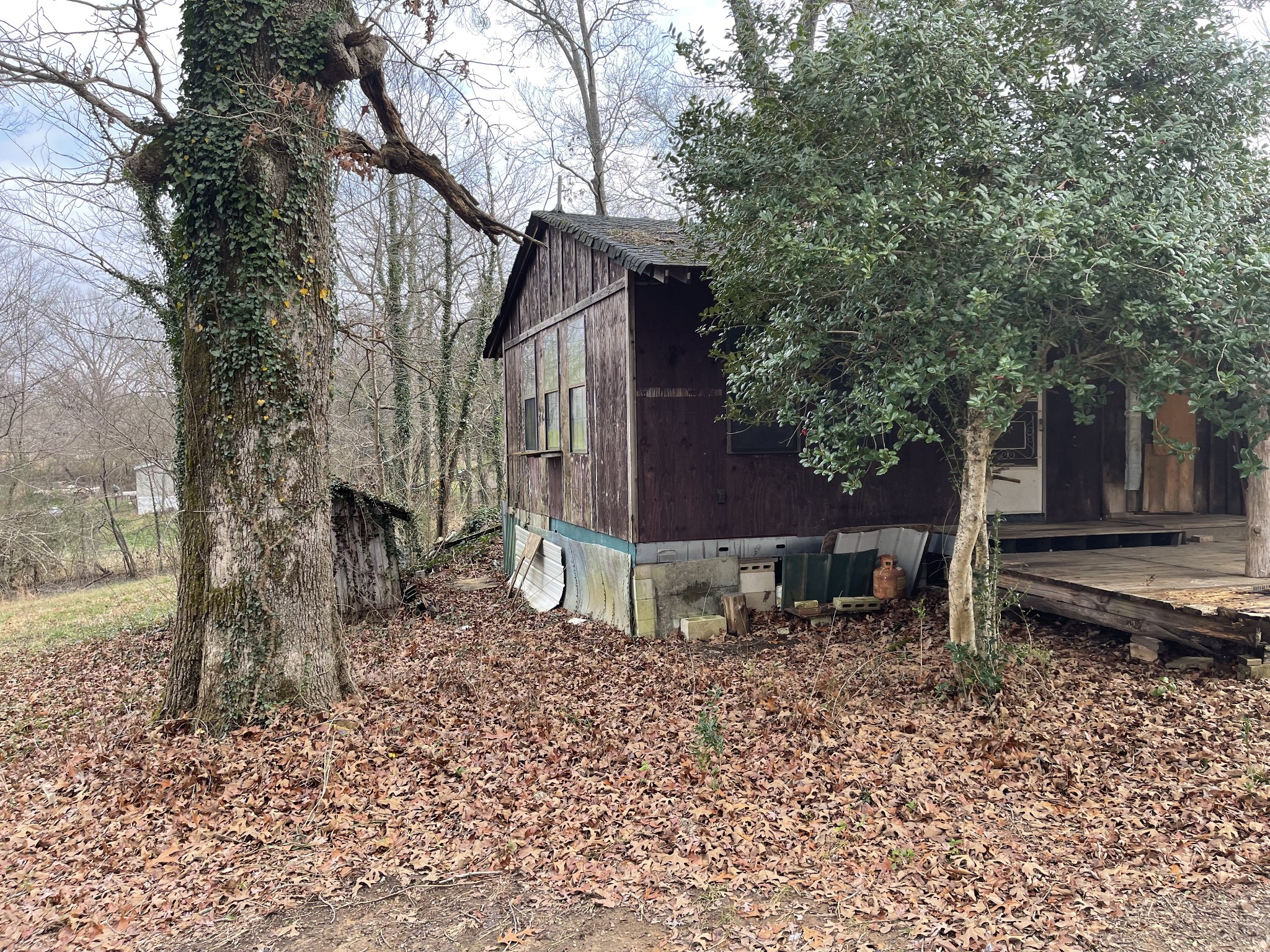 659 Dickey Road Ramer, TN 38367 - Photo 5 of 27 Gallery Image 5