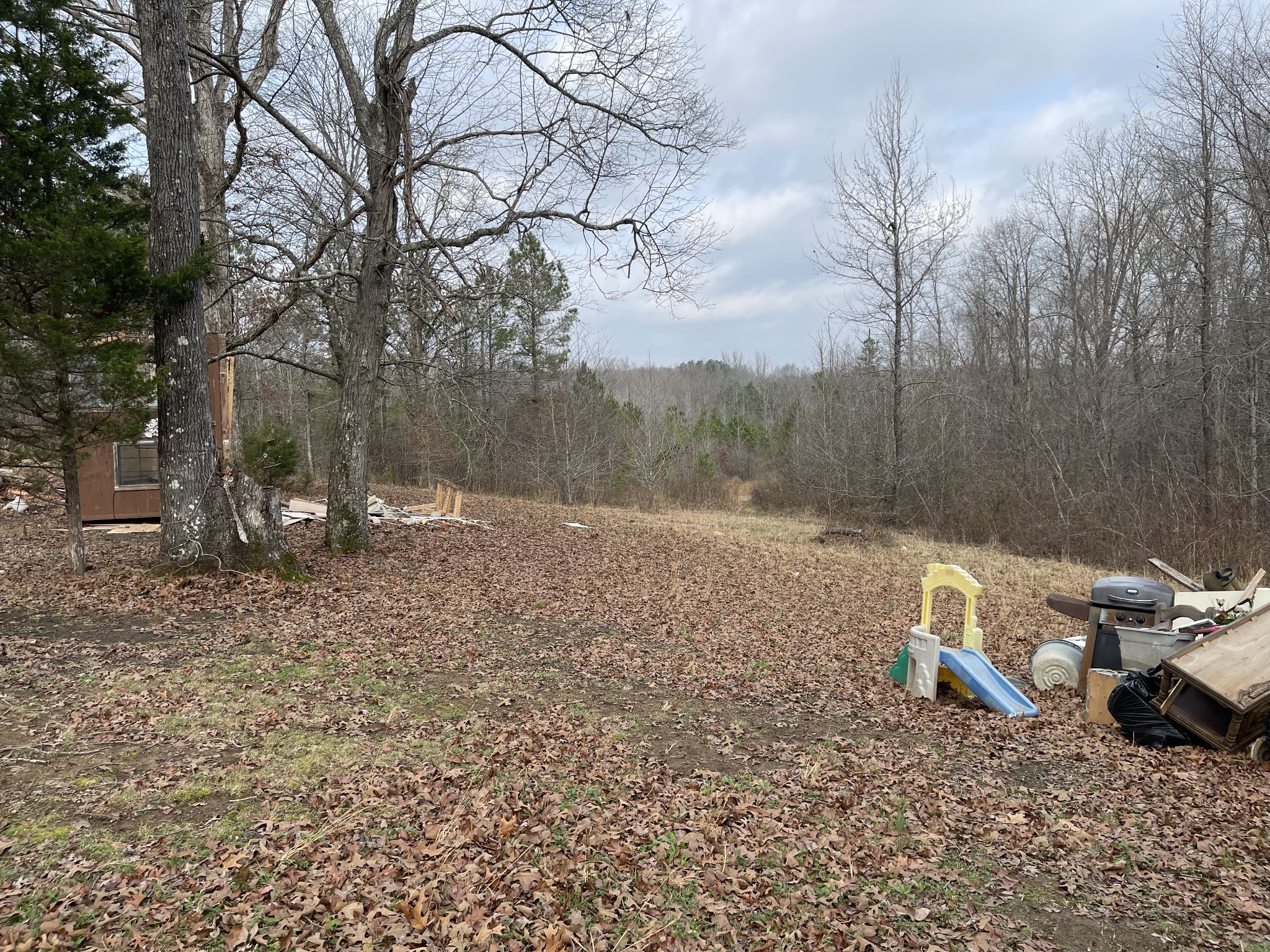 659 Dickey Road Ramer, TN 38367 - Photo 9 of 27 Gallery Image 9