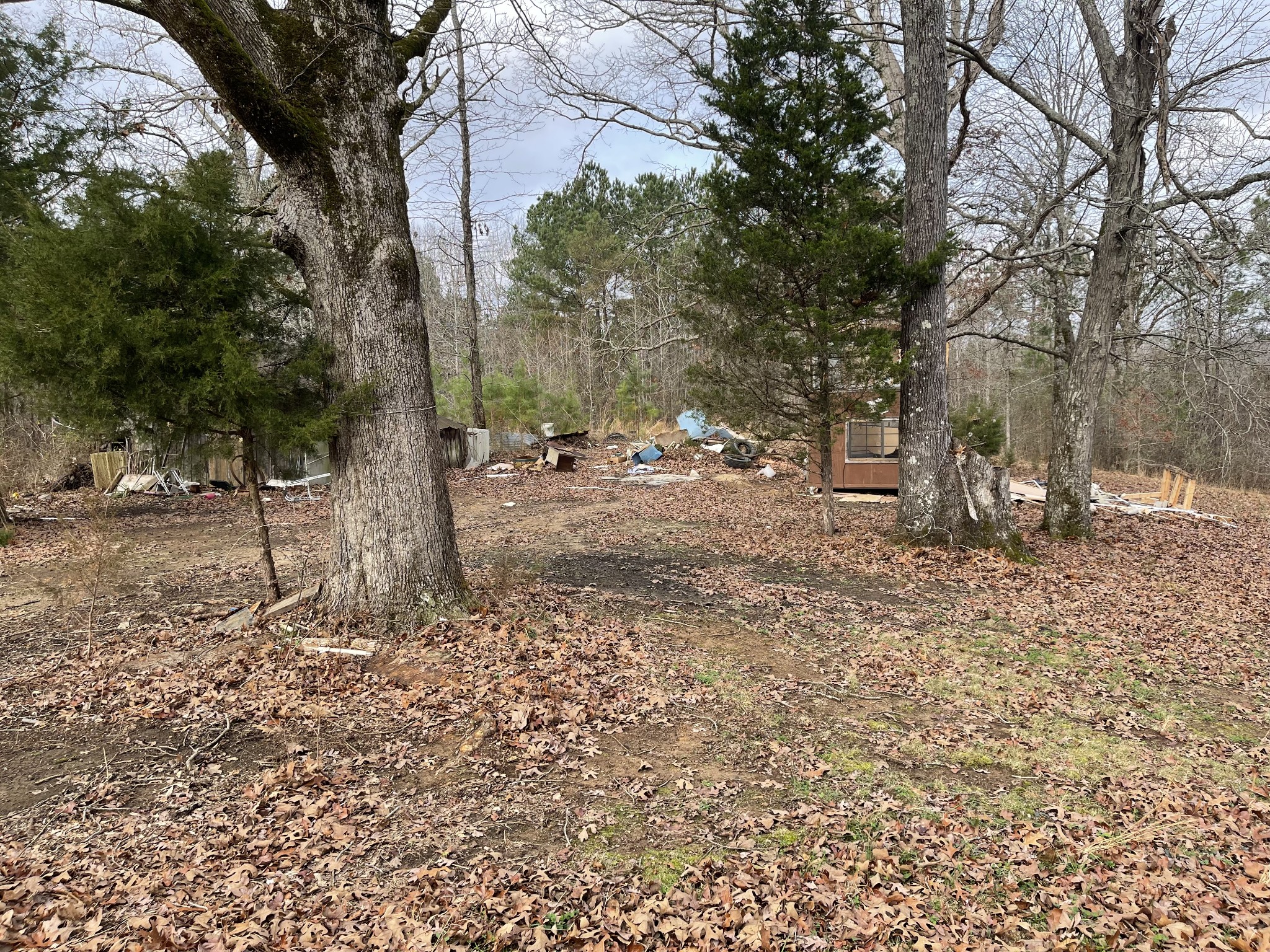 659 Dickey Road Ramer, TN 38367 - Photo 10 of 27 Gallery Image 10
