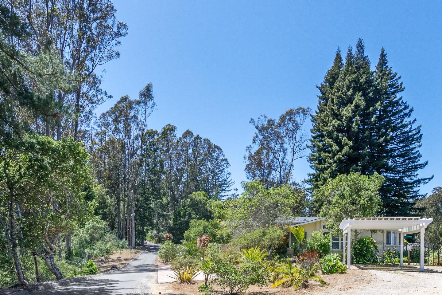892-894 Calabasas Road Watsonville, CA 95076 - Photo 36 of 53 a view of a garden