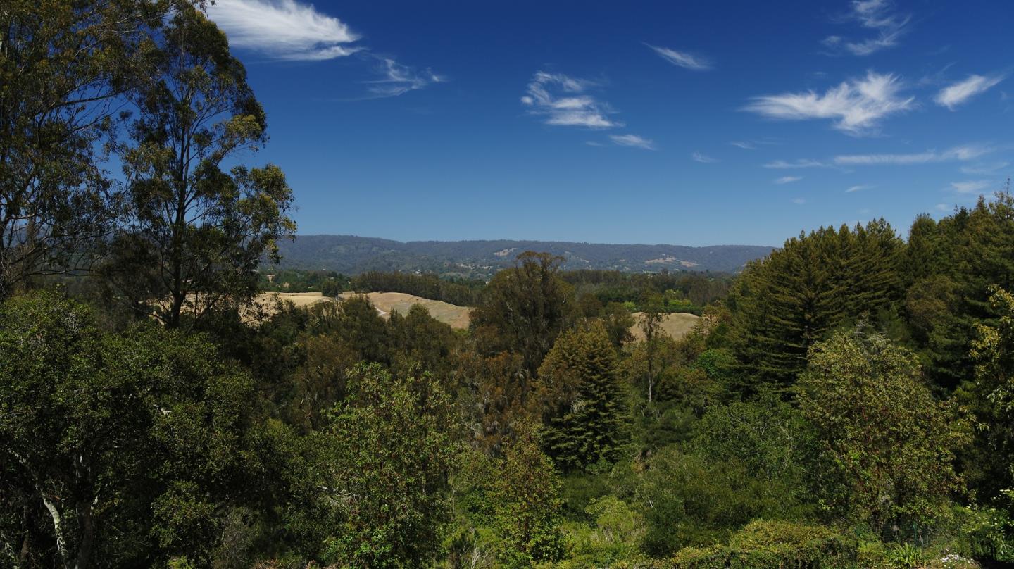 892-894 Calabasas Road Watsonville, CA 95076 - Photo 49 of 53 a view of a city with lush green forest