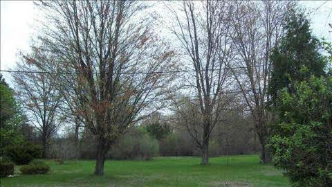 2633 Wells Road Petersburg, MI 49270 - Photo 20 of 20 20008762-19.JPG