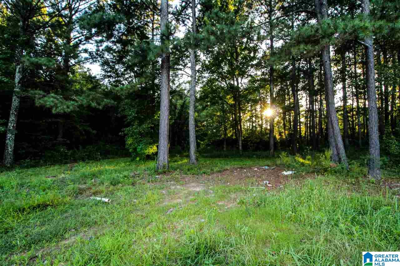 1568 Post Oak Road Alexandria, AL 36250 - Photo 22 of 27