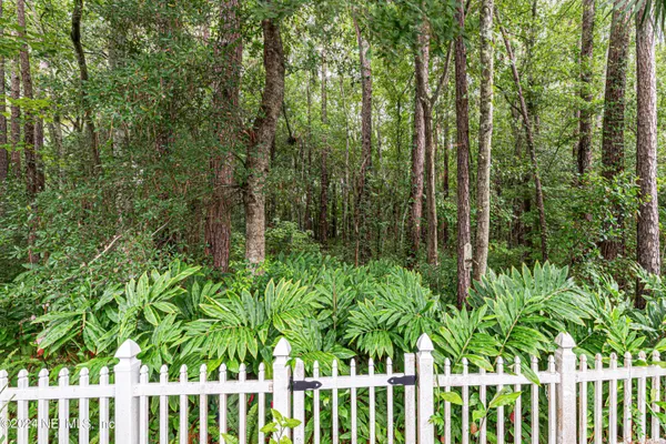 a view of a garden