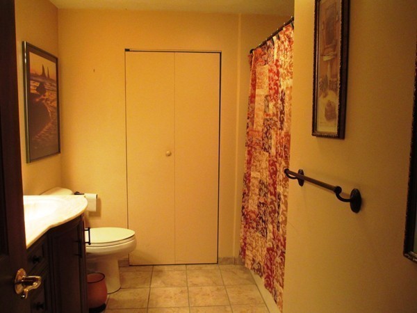 105 George Hill Road Grafton, MA 01519 - Photo 15 of 22 a bathroom with a shower curtain and a toilet