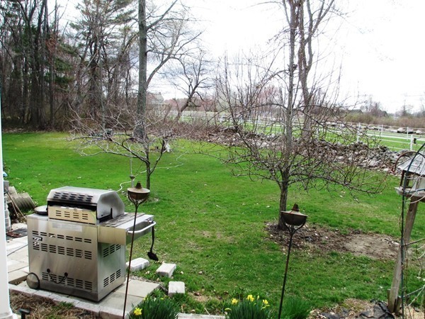 105 George Hill Road Grafton, MA 01519 - Photo 20 of 22 a garden view with a seating space