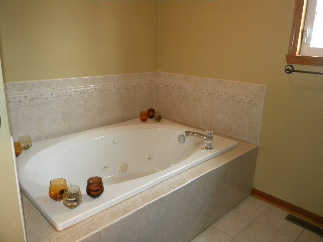 10745 Chicory Ridge Way Roscoe, IL 61073 - Photo 15 of 25 a bathroom with a tub and window