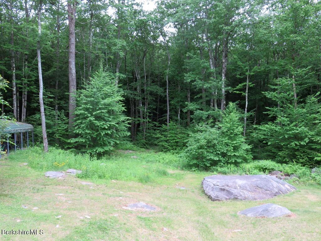 664 Main Road Monterey, MA 01245 - Photo 18 of 19 a backyard of a house with lots of green space