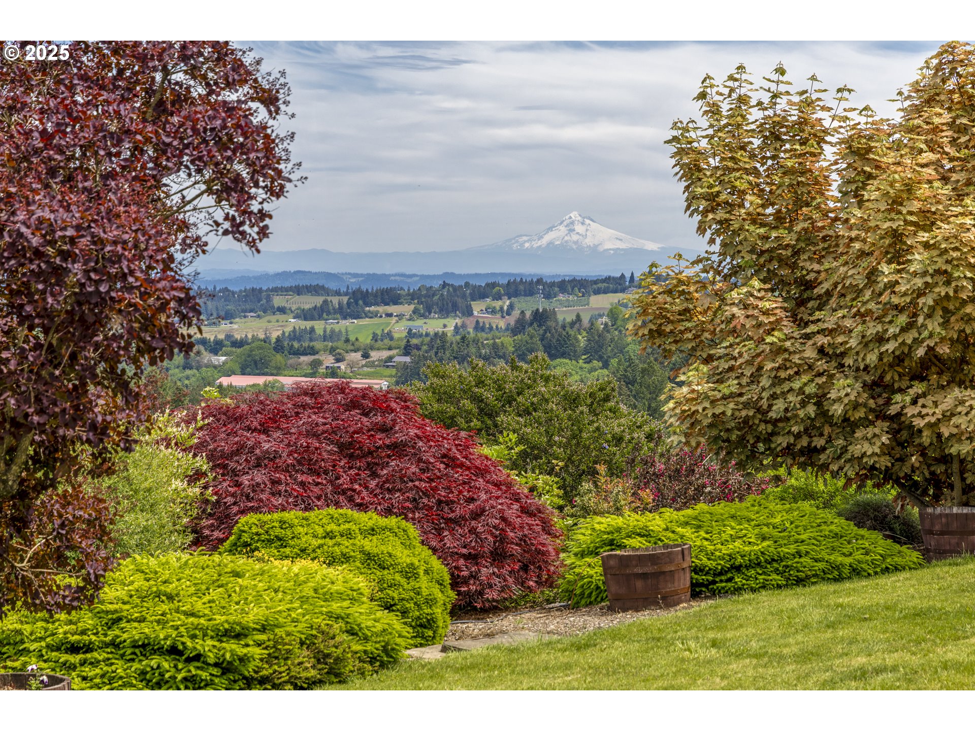 21250 Southwest Jaquith Road Newberg, OR 97132 - Photo 45 of 48 a view of a yard
