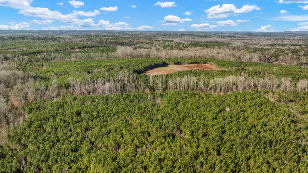 C2-200 Fortune Hole Road East Hamilton, GA 31811 - Photo 8 of 15 Gallery Image 8
