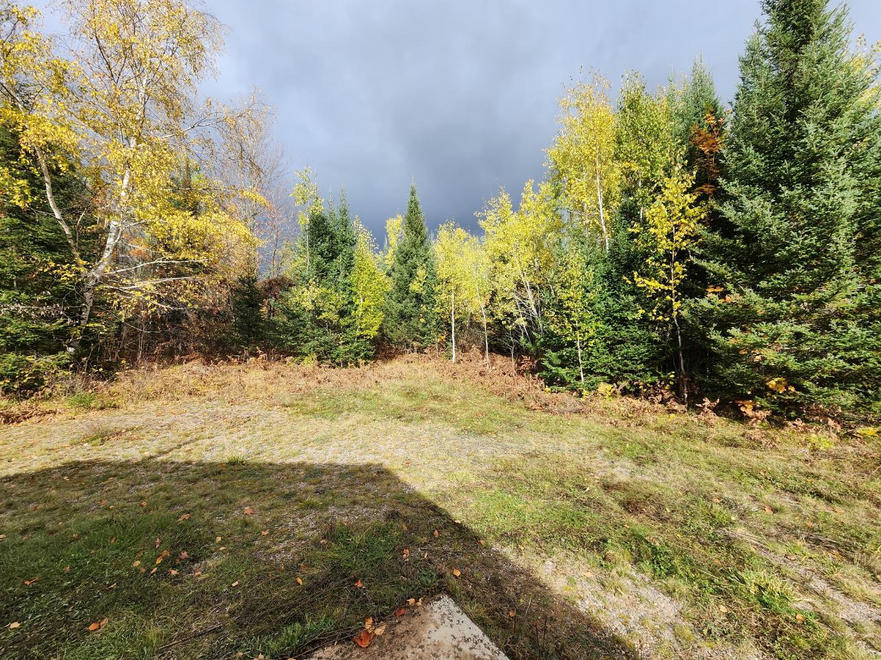 5938 Swamp Mist Road Three Lakes, WI 54562 - Photo 11 of 13 Gallery Image 11