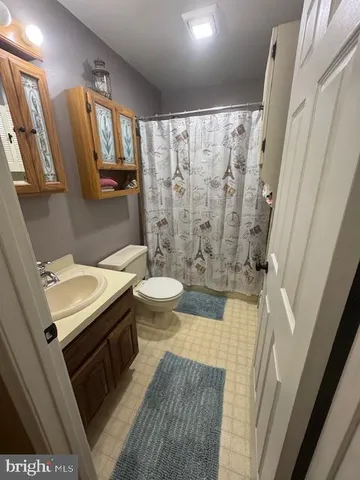 a bathroom with a sink a toilet a mirror a vanity and shower