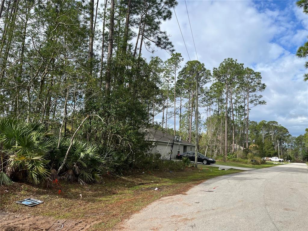 14 Reybury Lane Palm Coast, FL 32164 - Photo 1 of 1 a backyard of a house with lots of green space