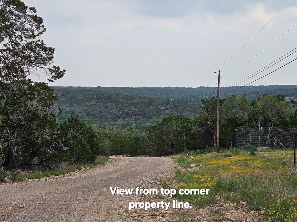 301 Cross Cut Road Hunt, TX 78024 - Photo 13 of 35