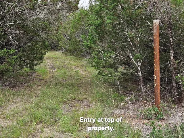 a view of swimming pool with a yard and trees in the background