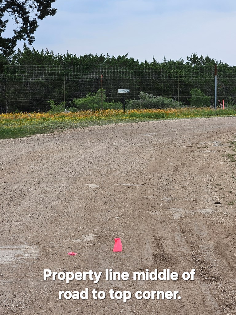 301 Cross Cut Road Hunt, TX 78024 - Photo 15 of 35