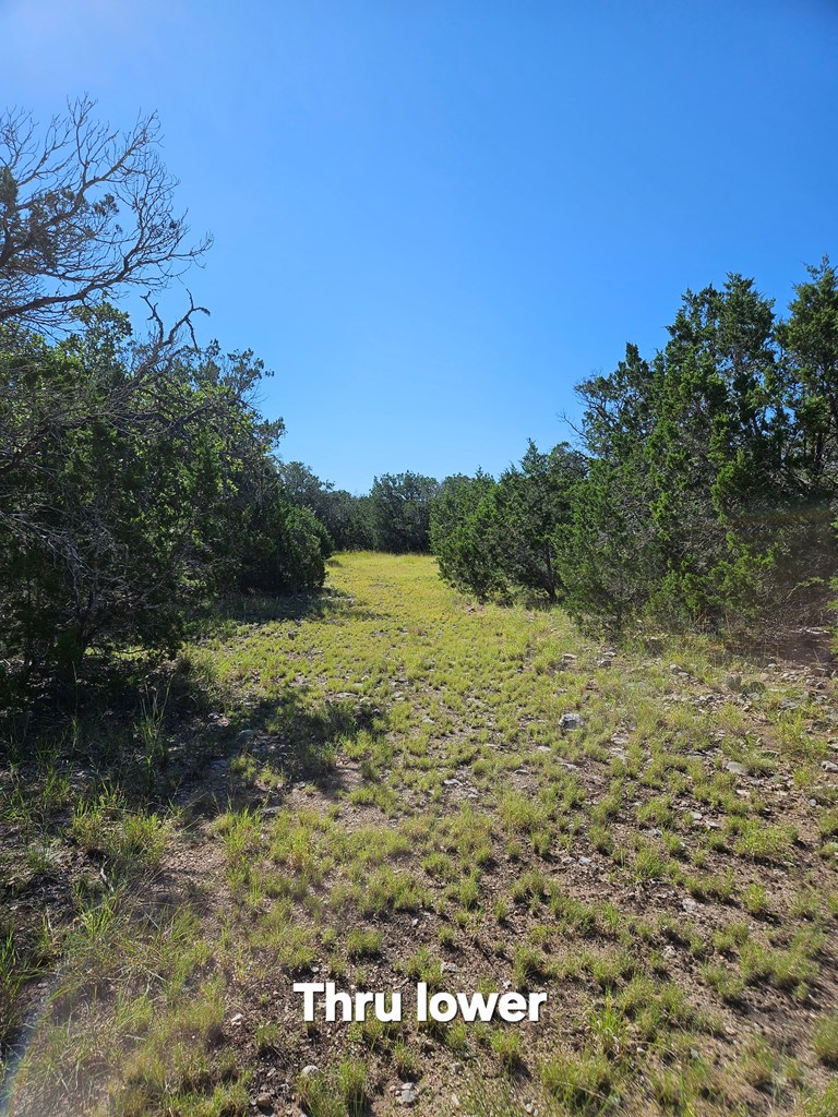 301 Cross Cut Road Hunt, TX 78024 - Photo 17 of 35