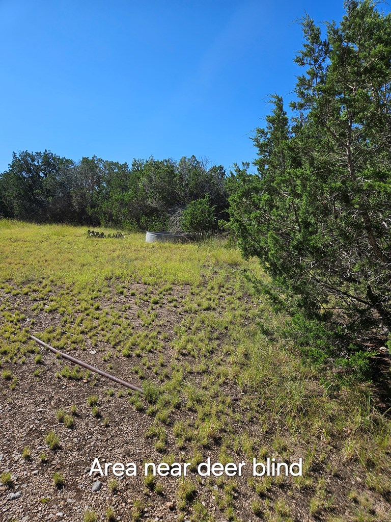 301 Cross Cut Road Hunt, TX 78024 - Photo 18 of 35