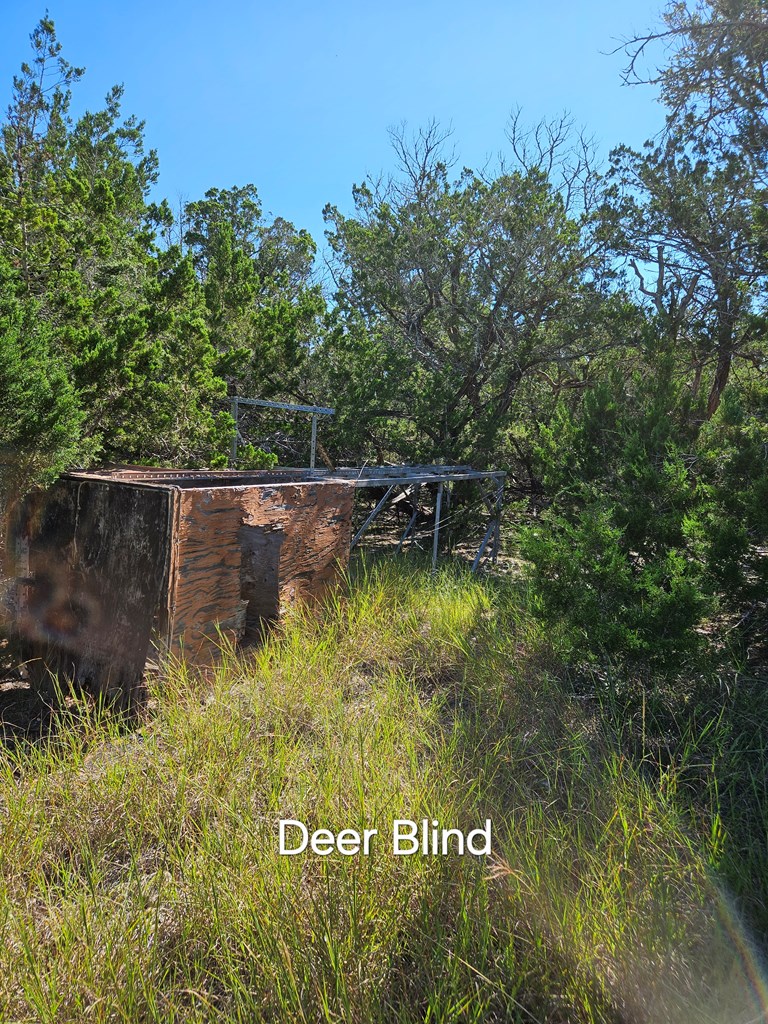 301 Cross Cut Road Hunt, TX 78024 - Photo 19 of 35
