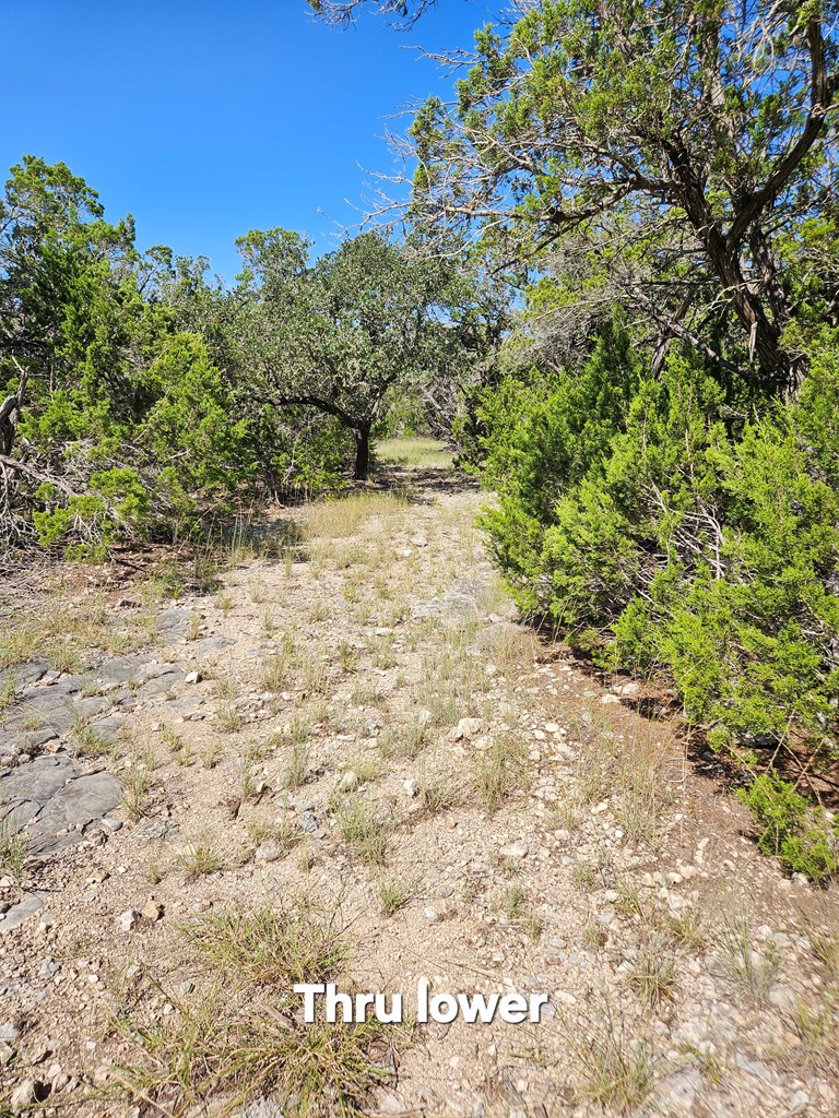 301 Cross Cut Road Hunt, TX 78024 - Photo 20 of 35