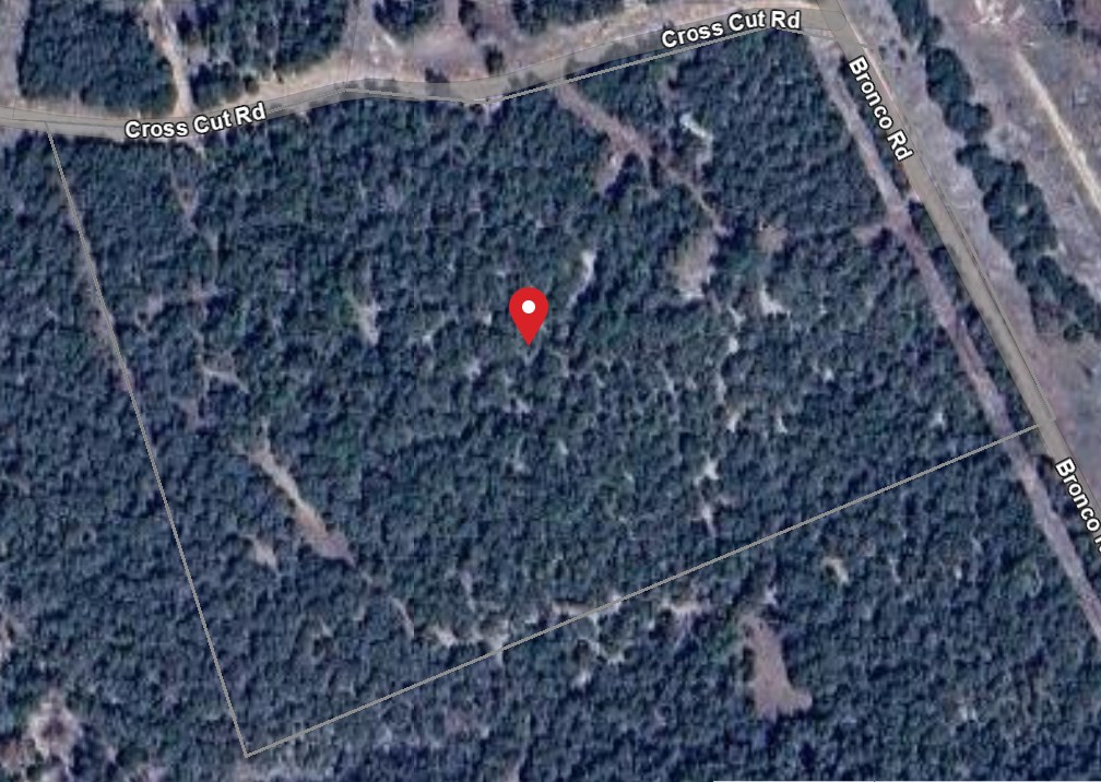 301 Cross Cut Road Hunt, TX 78024 - Photo 2 of 35