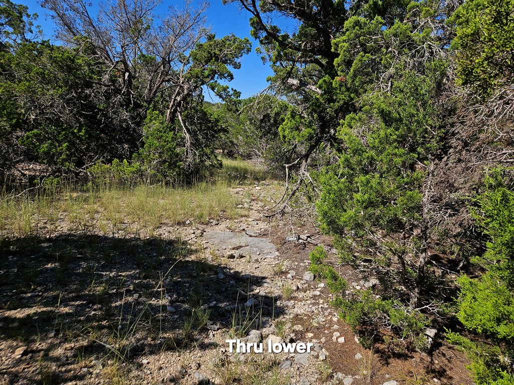 301 Cross Cut Road Hunt, TX 78024 - Photo 21 of 35