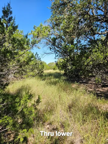 a view of lake with green space
