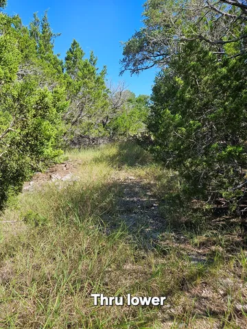 a view of a lake with houses