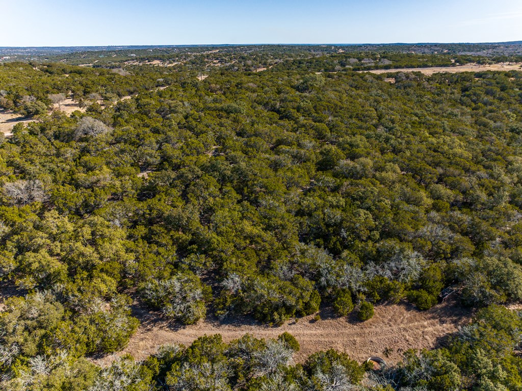 301 Cross Cut Road Hunt, TX 78024 - Photo 30 of 35