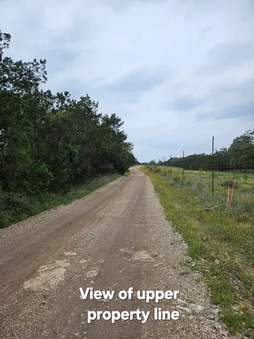 a view of a green filed next to a road