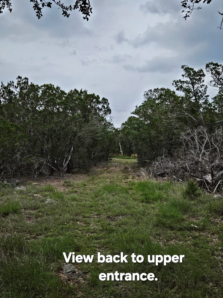 301 Cross Cut Road Hunt, TX 78024 - Photo 9 of 35