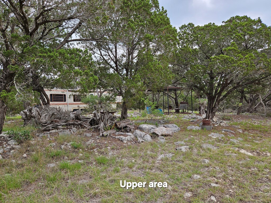 301 Cross Cut Road Hunt, TX 78024 - Photo 10 of 35