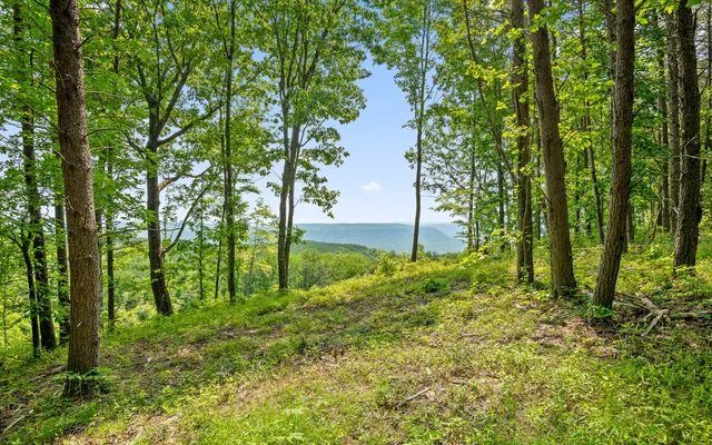 $550,000 | Lot 2222 High Ground Road, Guild, TN 37340