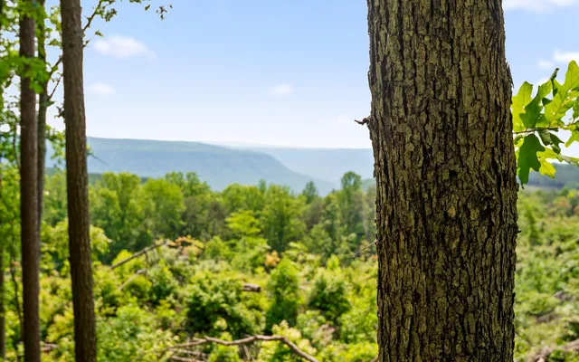 $550,000 | Lot 2222 High Ground Road, Guild, TN 37340