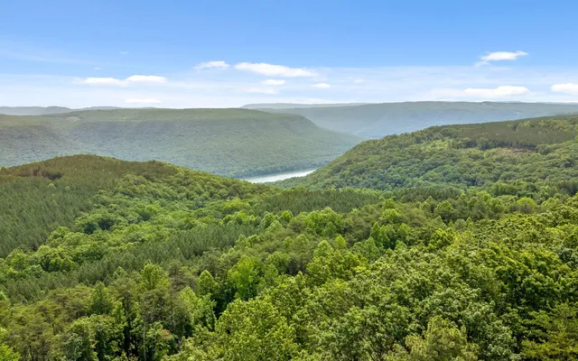 $550,000 | Lot 2222 High Ground Road, Guild, TN 37340