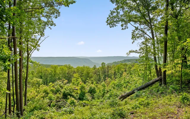 $550,000 | Lot 2222 High Ground Road, Guild, TN 37340