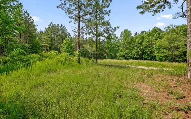 $550,000 | Lot 2222 High Ground Road, Guild, TN 37340