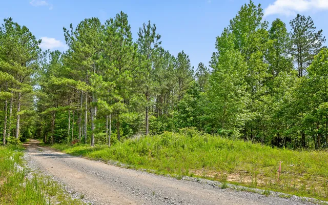 $550,000 | Lot 2222 High Ground Road, Guild, TN 37340