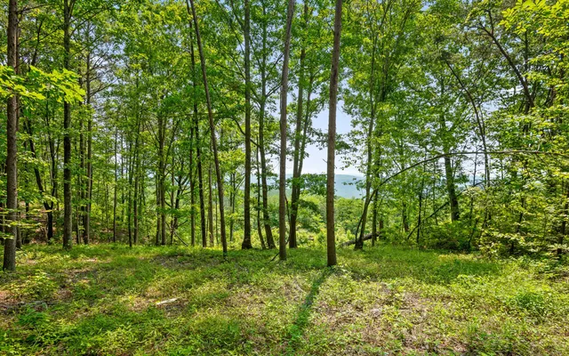 $550,000 | Lot 2222 High Ground Road, Guild, TN 37340