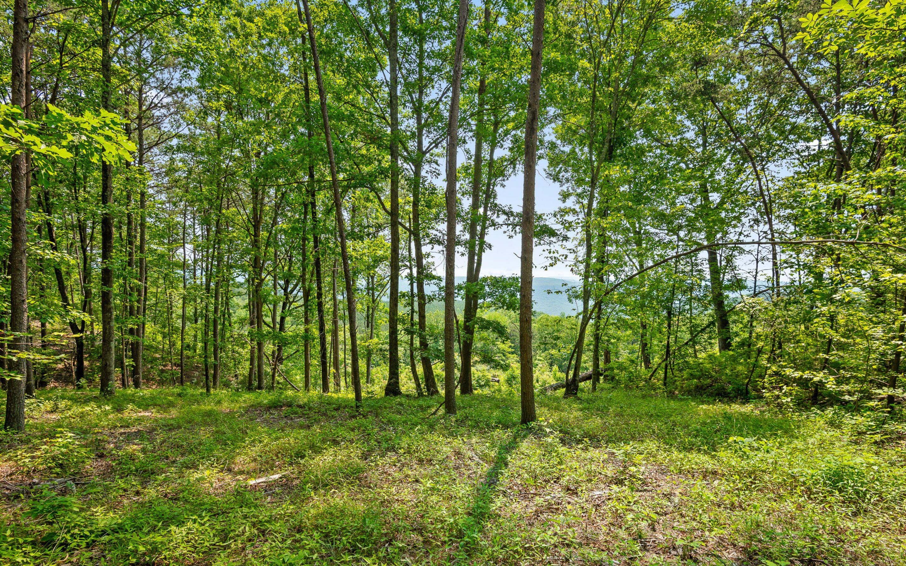 Lot 2222 High Ground Road Guild, TN 37340 - Photo 20 of 33 What a Backyard!