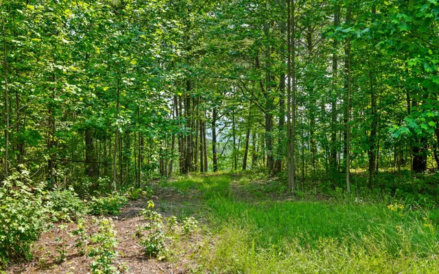 $550,000 | Lot 2222 High Ground Road, Guild, TN 37340