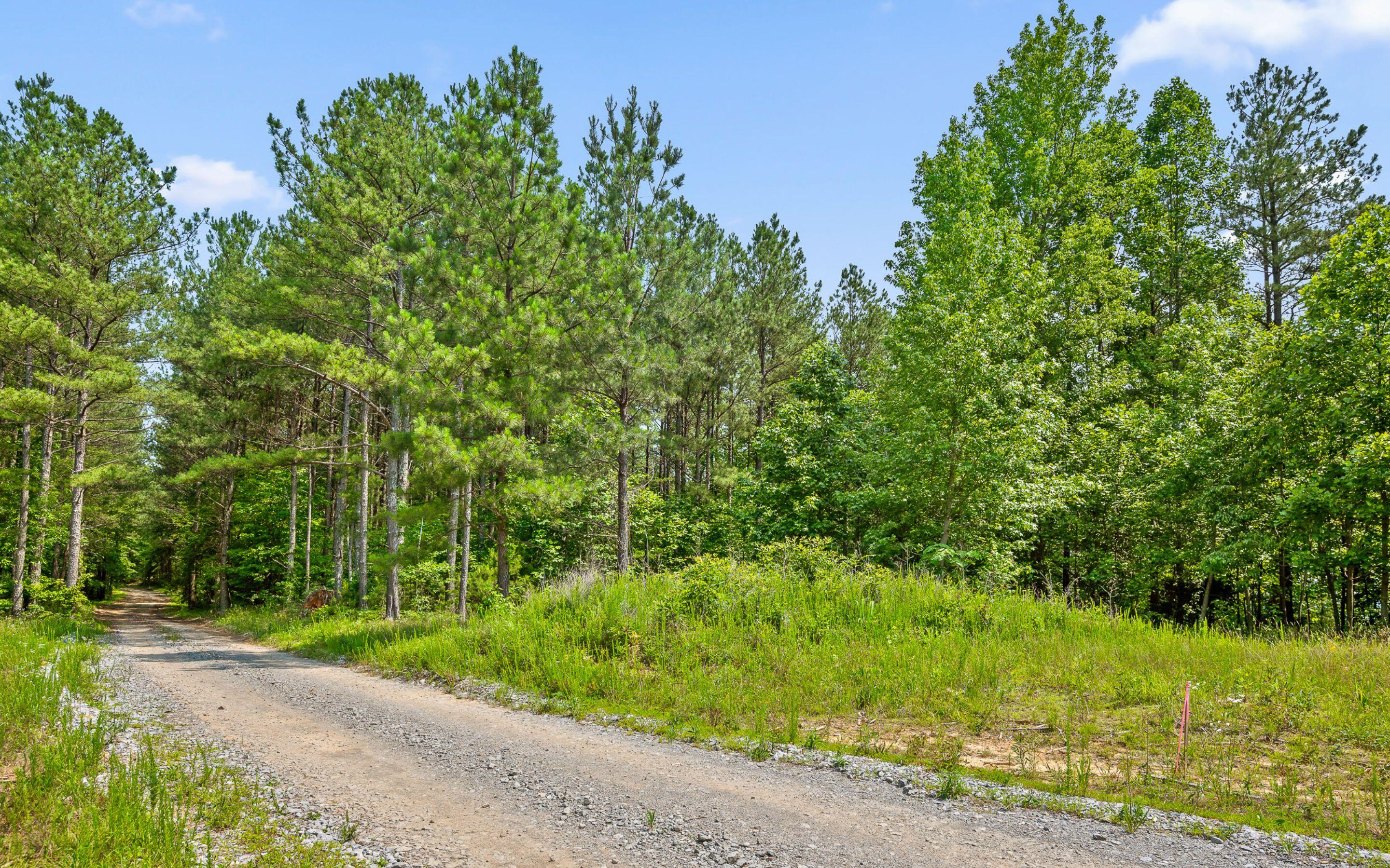Lot 2222 High Ground Road Guild, TN 37340 - Photo 23 of 33 Frontage Road