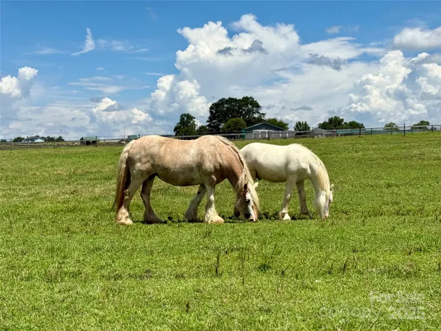 $850,000 | 150 Rabbit Moffitt Road, Rutherfordton, NC 28139