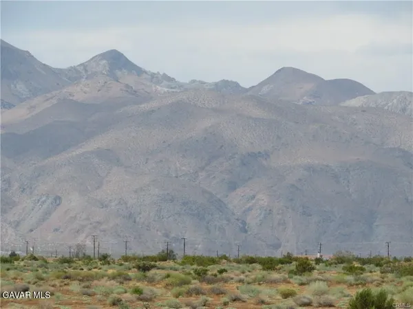 a view of a mountain from a yard