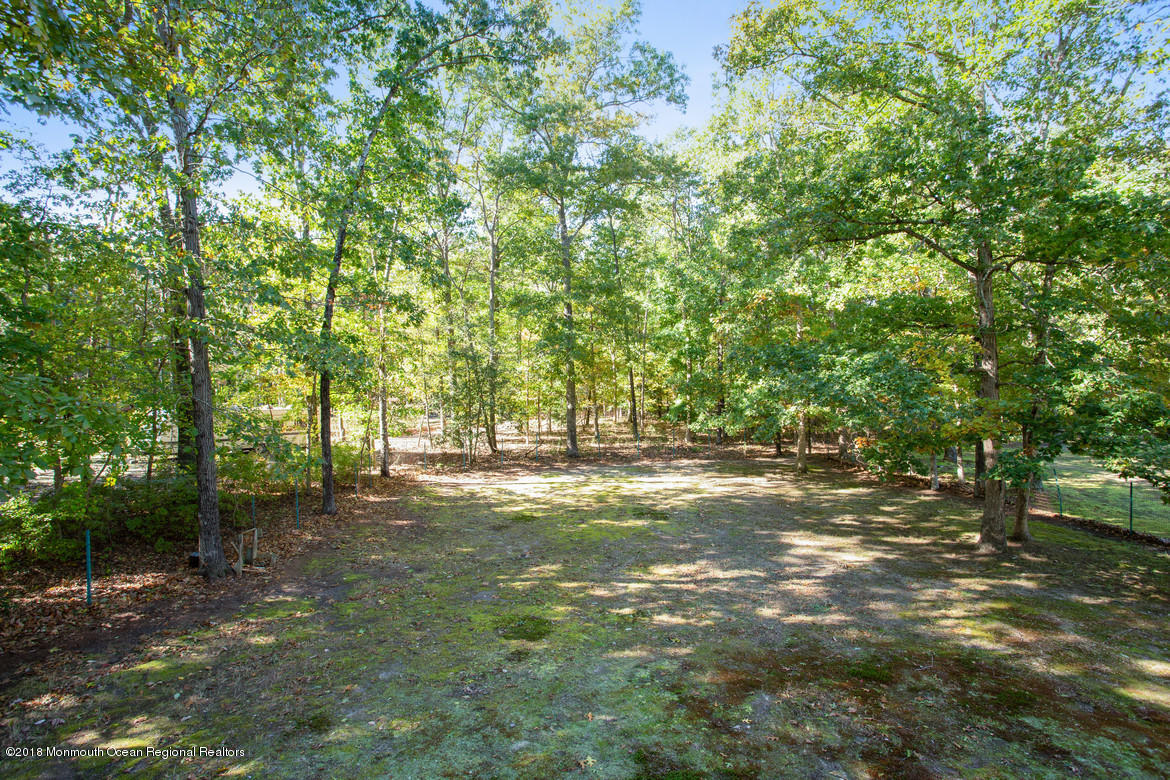 494 Toms River Road Jackson, NJ 08527 - Photo 32 of 32 33Back_Yard