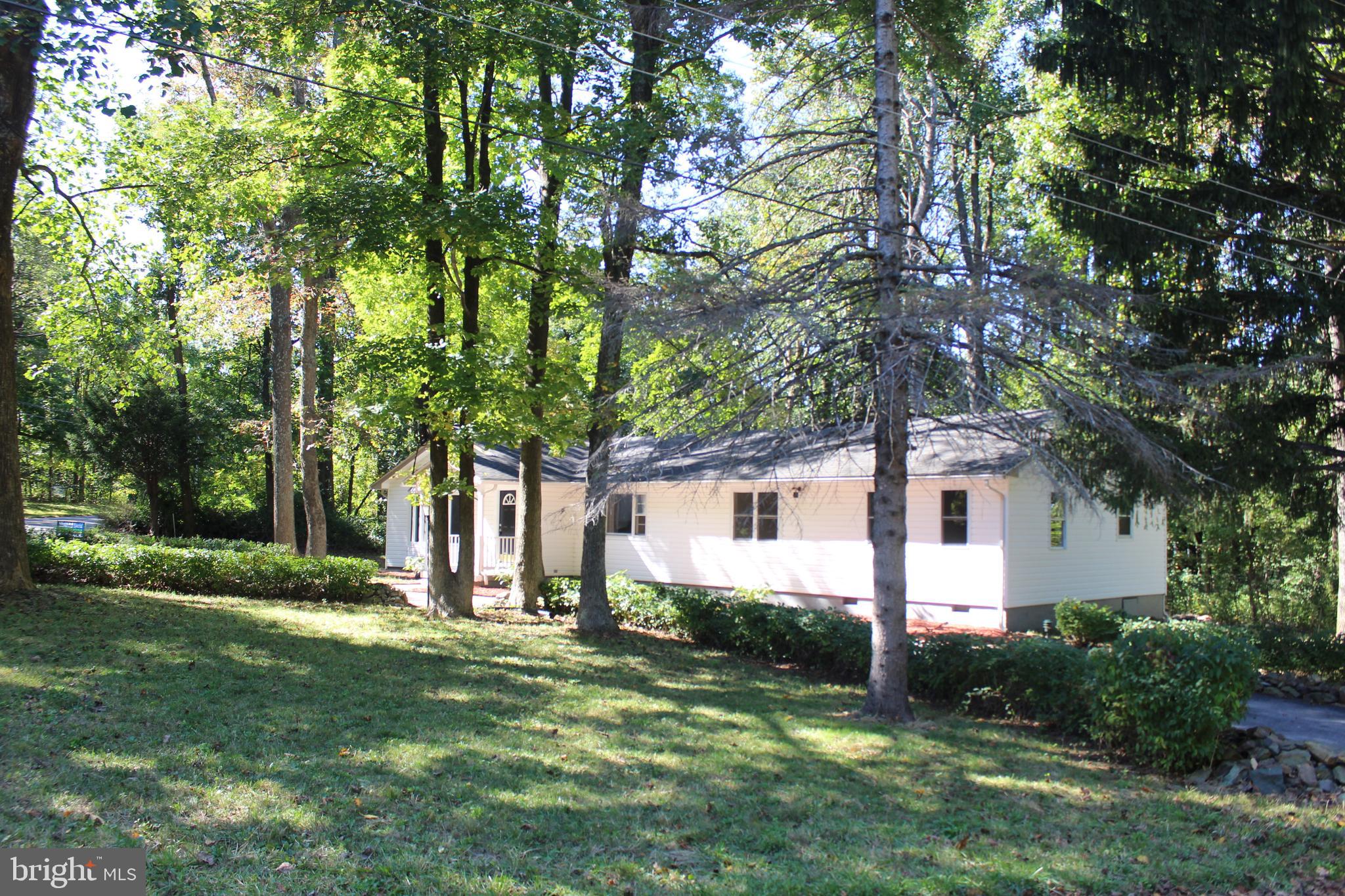 280 Chester Gap Road Chester Gap, VA 22623 - Photo 11 of 90 Gallery Image 11